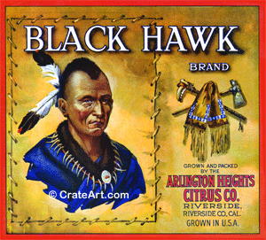 BLACK HAWK (O)