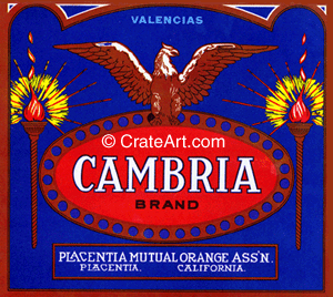 CAMBRIA (O) #1