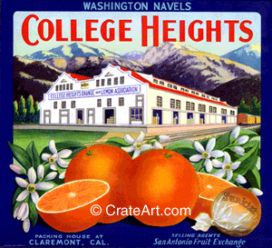 COLLEGE HEIGHTS (O)