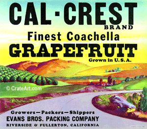 CAL-CREST (GF) #1