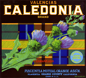 CALEDONIA (O) #3