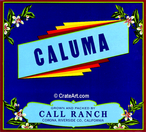 CALUMA (O)