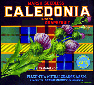 CALEDONIA (GF)