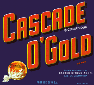 CASCADE O'GOLD (O)