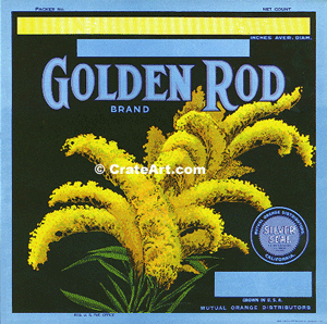 GOLDEN ROD (O) #2