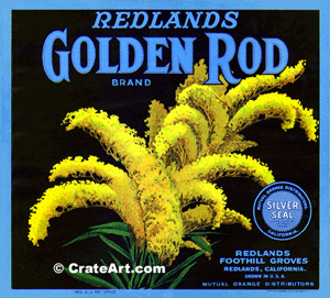 GOLDEN ROD (O) #3