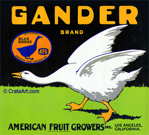 GANDER (O)