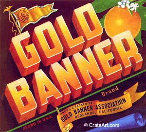 GOLD BANNER (O)