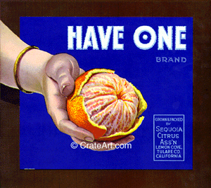 HAVE ONE (O)