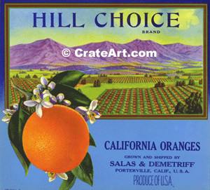 HILL CHOICE (O)