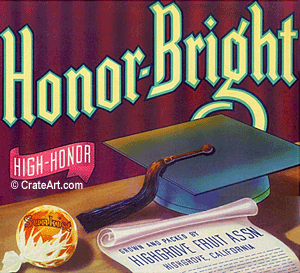 HONOR-BRIGHT (O)