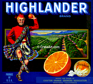 HIGHLANDER (O)