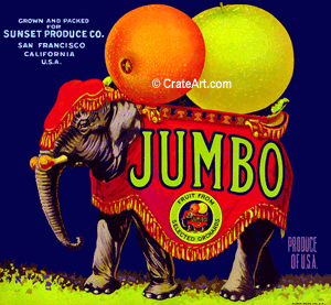 JUMBO (O)