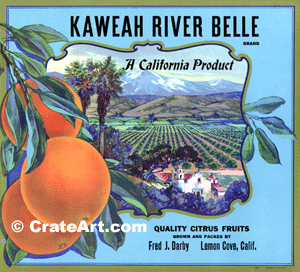 KAWEAH RIVER BELLE (O)