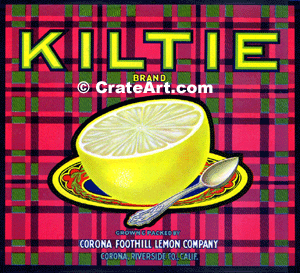 KILTIE (GF)