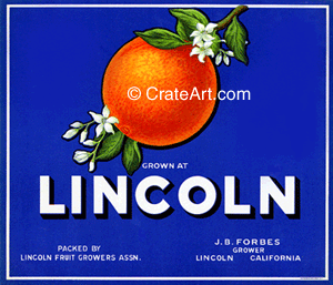 LINCOLN (O) #4