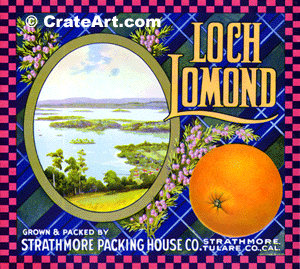 LOCH LOMOND (O)