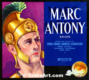 MARC ANTONY (O)