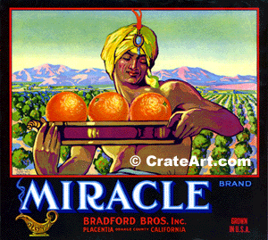 MIRACLE (O)