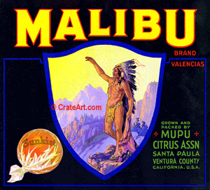 MALIBU (O)