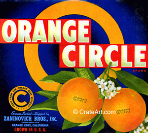 ORANGE CIRCLE (O)