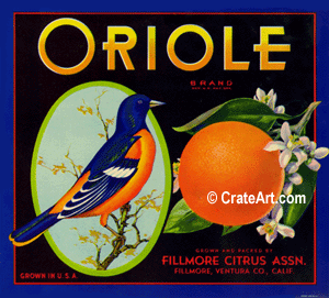 ORIOLE (O) #1