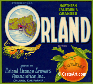 ORLAND (O)