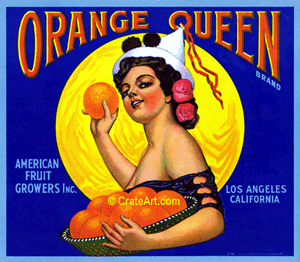 ORANGE QUEEN (O)