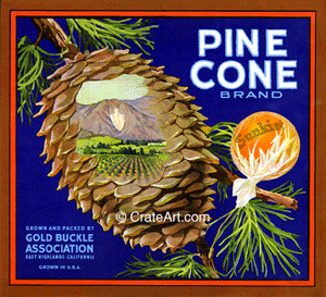 PINE CONE (O) #2