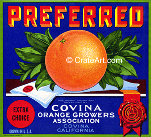 PREFERRED (O)