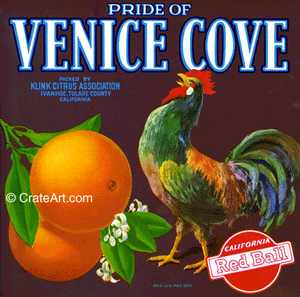 PRIDE OF VENICE COVE (O)