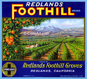 REDLANDS FOOTHILL (O)