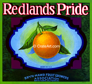 REDLANDS PRIDE (O)