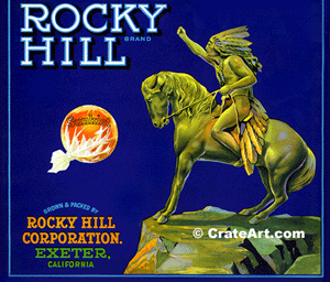 ROCKY HILL (O)