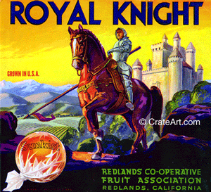 ROYAL KNIGHT (O)