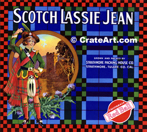 SCOTCH LASSIE JEAN (O)