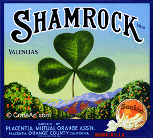 SHAMROCK (O) #2