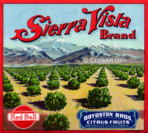 SIERRA VISTA (O)