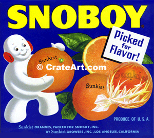 SNOBOY (O)