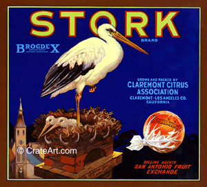 STORK (O) #1