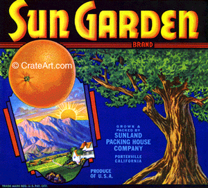 SUN GARDEN (O)