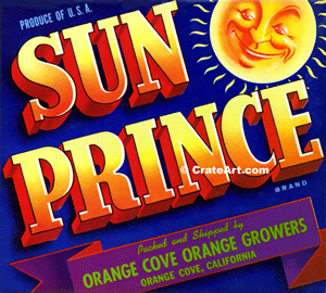 SUN PRINCE (O)