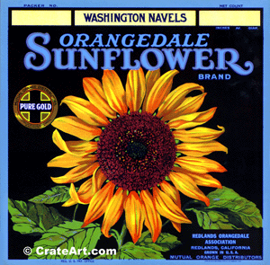 SUNFLOWER (O) #2