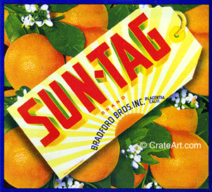 SUN-TAG (O) #1