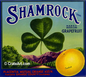 SHAMROCK (GF)