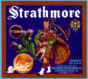 STRATHMORE (O)