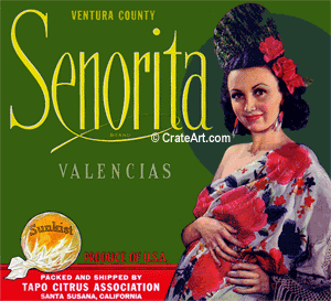 SENORITA (O)