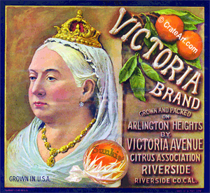 VICTORIA (O) #1