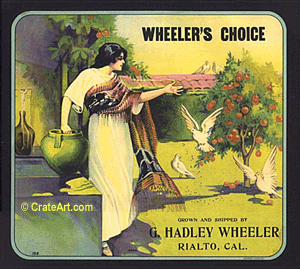 WHEELER'S CHOICE (O)