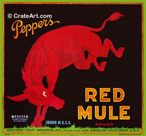 RED MULE (O)